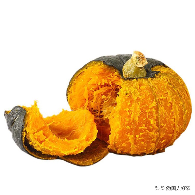 贝贝南瓜高产的秘密,金贝贝南瓜成长过程