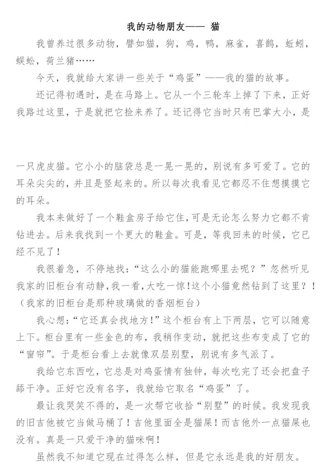 我的动物朋友四年级优秀作文500字,我的动物朋友四年级下册300字作文