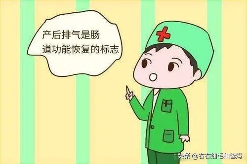 剖腹产后6小时如何快速排气,刨腹产后宝妈怎么能快速排气