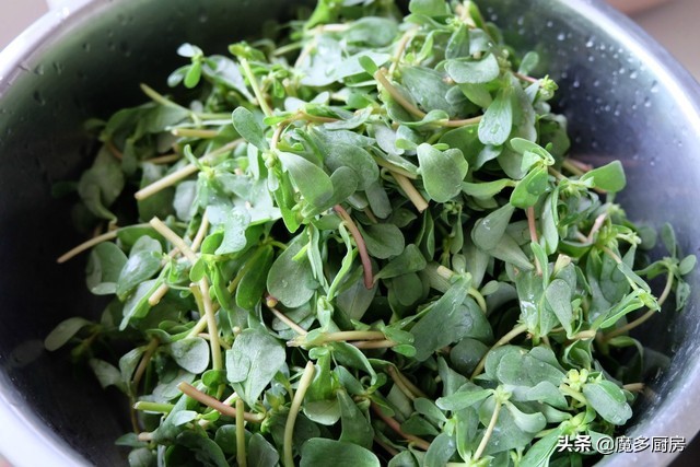 农村菜地里一种野菜酸酸甜甜的,农村常见能吃的野草和做法