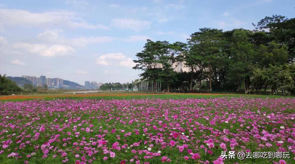 69抢价值270惠州凯撒童话王国亲子票游戏中学习才是童年最大乐趣