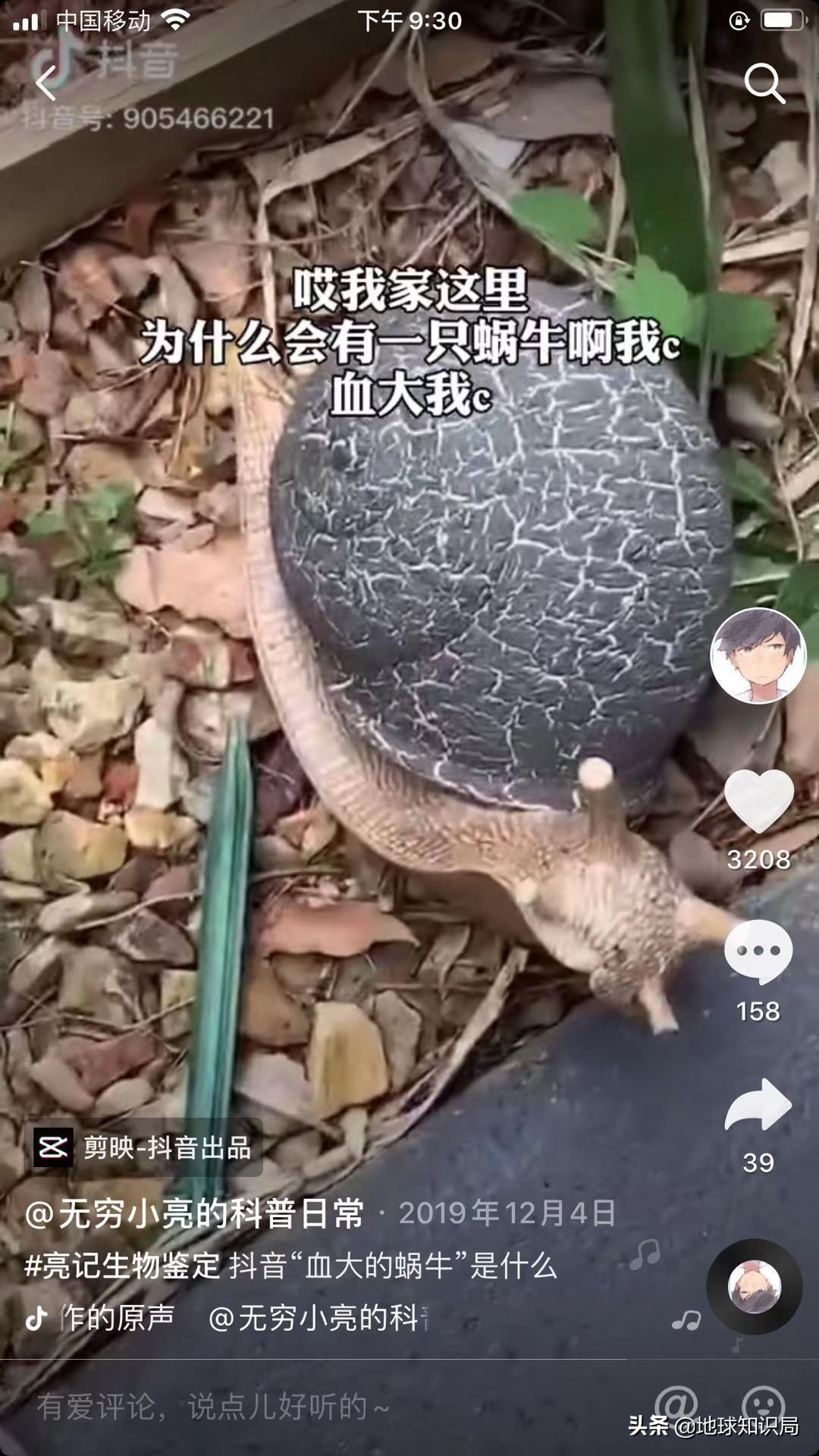 全球旅行攻略干货,全球旅行不为人知的秘密