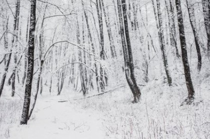 《挪威的森林》：年少只是听懂一首歌曲，读懂已是告别爱情的书