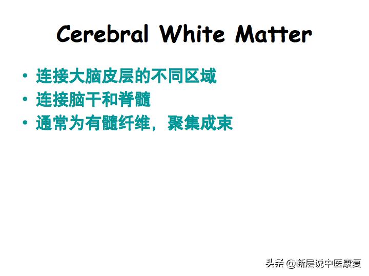 中枢神经系统断层解剖讲解,中枢神经3d解剖动画