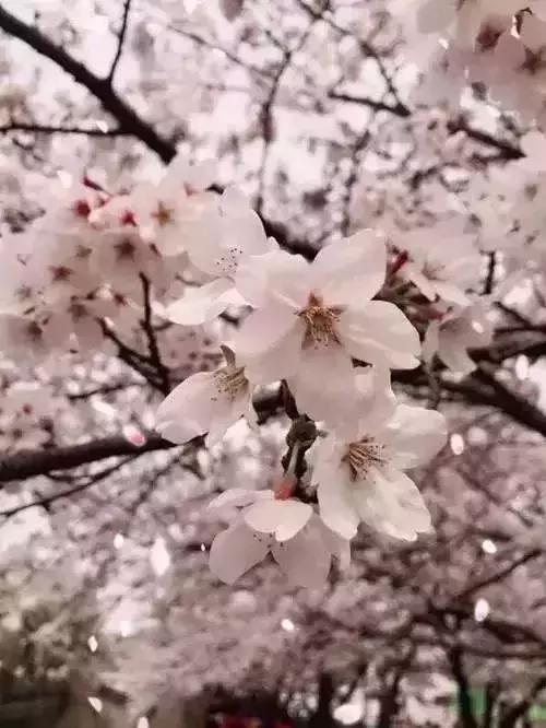 狂飙18级,狂飙18集公路飙车片段在哪