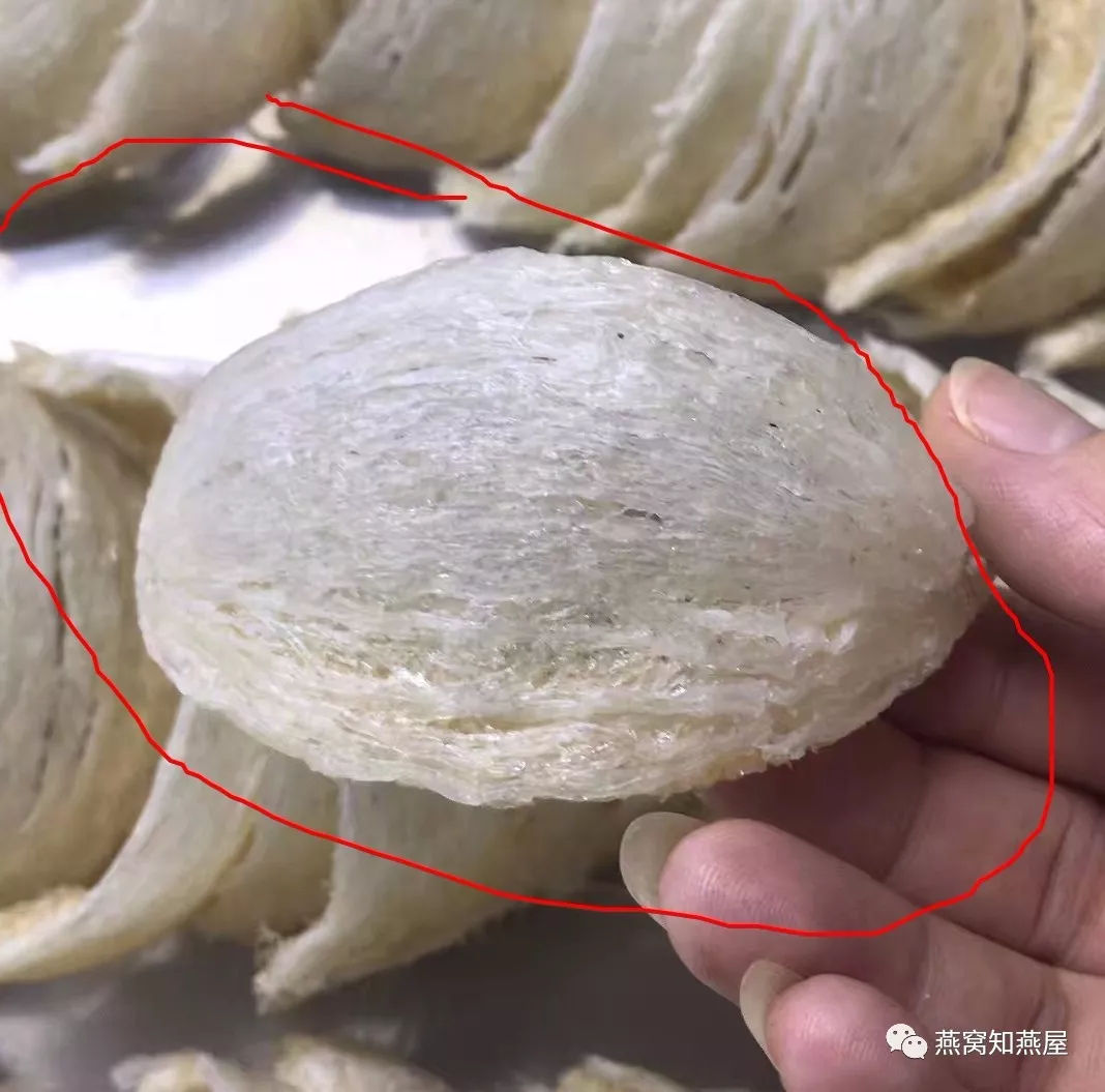 怎样看燕窝刷胶,刷胶的燕窝口感如何