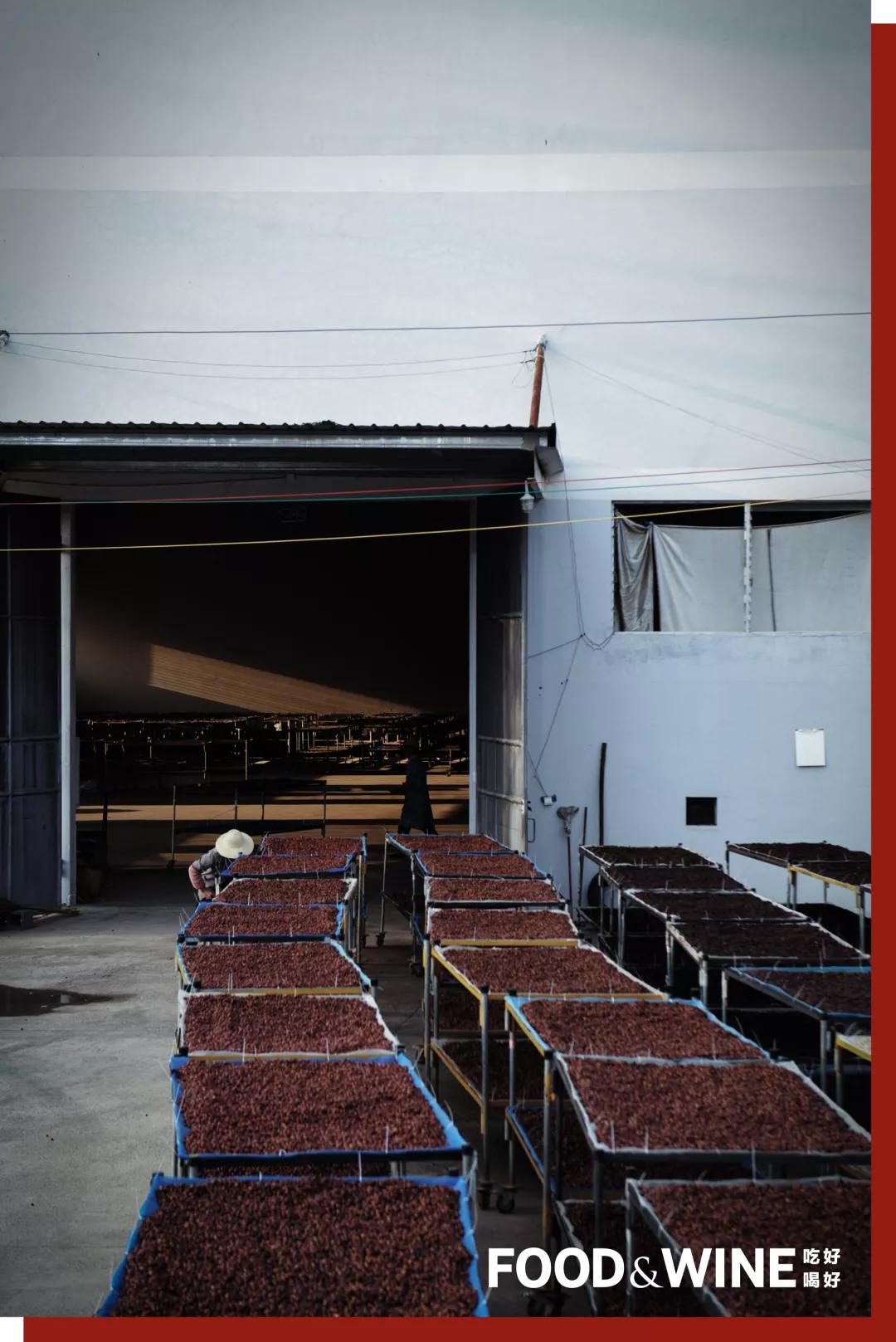 云南咖啡排名,云南咖啡十大品牌