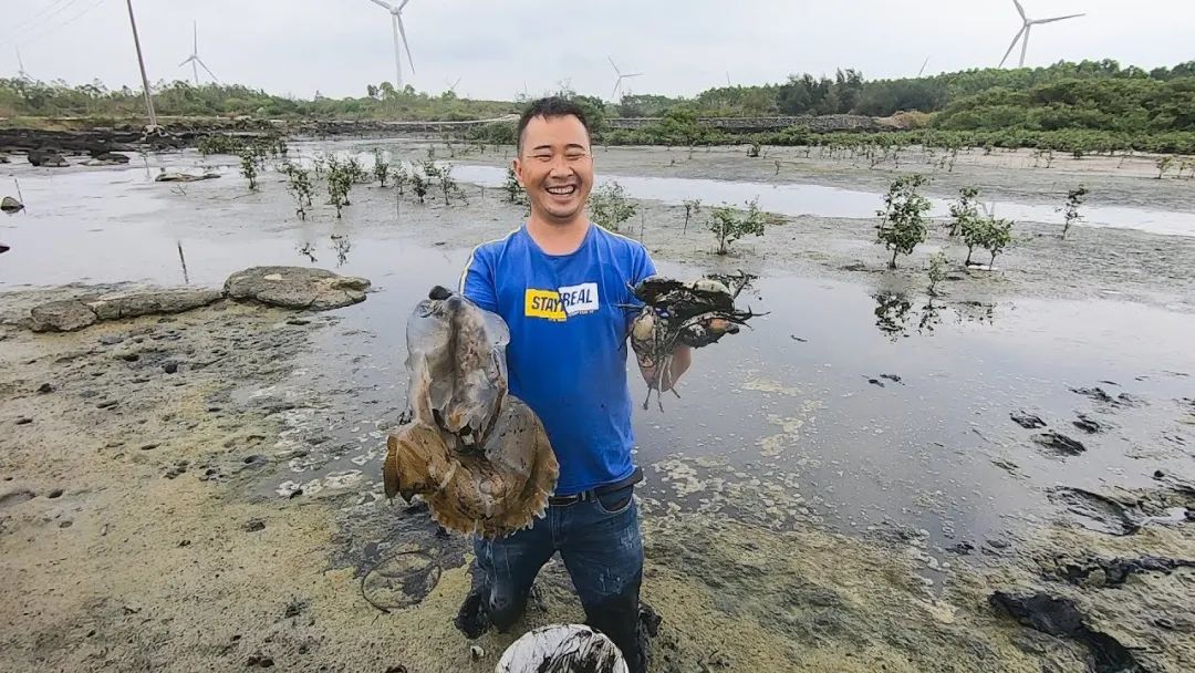 为何年轻人都在沉迷赶海视频,为什么大家都爱看赶海