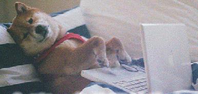 openthecomputer对吗,记住千万不要打开笔记本