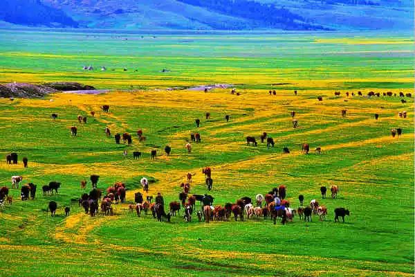 各地水果特产一览表,各地特产礼品一览表