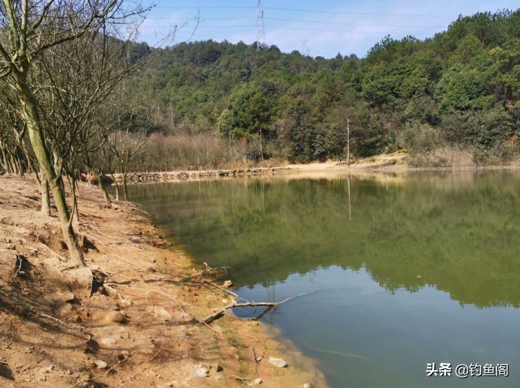 水太肥鱼鲫鱼不吃饵怎么办,水太肥鱼不肯吃饵怎么办