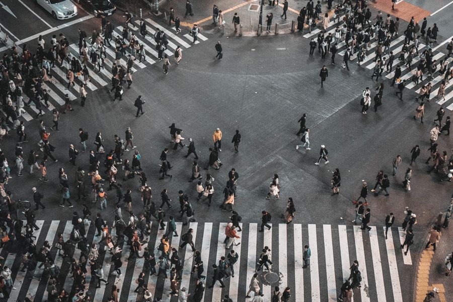 全民关注的恶性“薅羊毛”事件背后，是你想象不到的真相