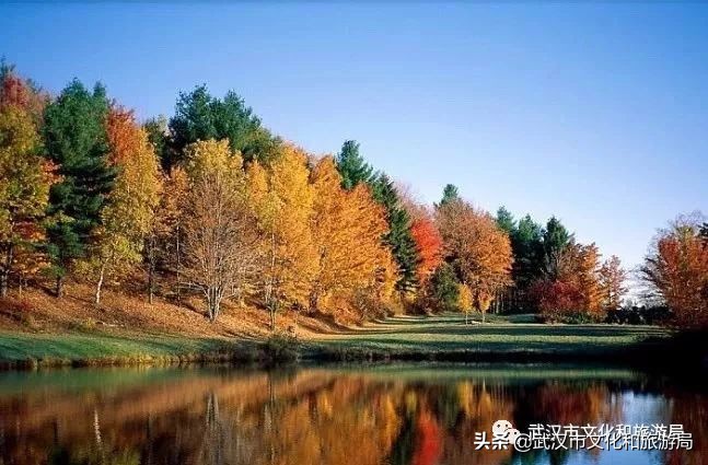 武汉市人的福利,武汉市发放105万张文旅惠民券