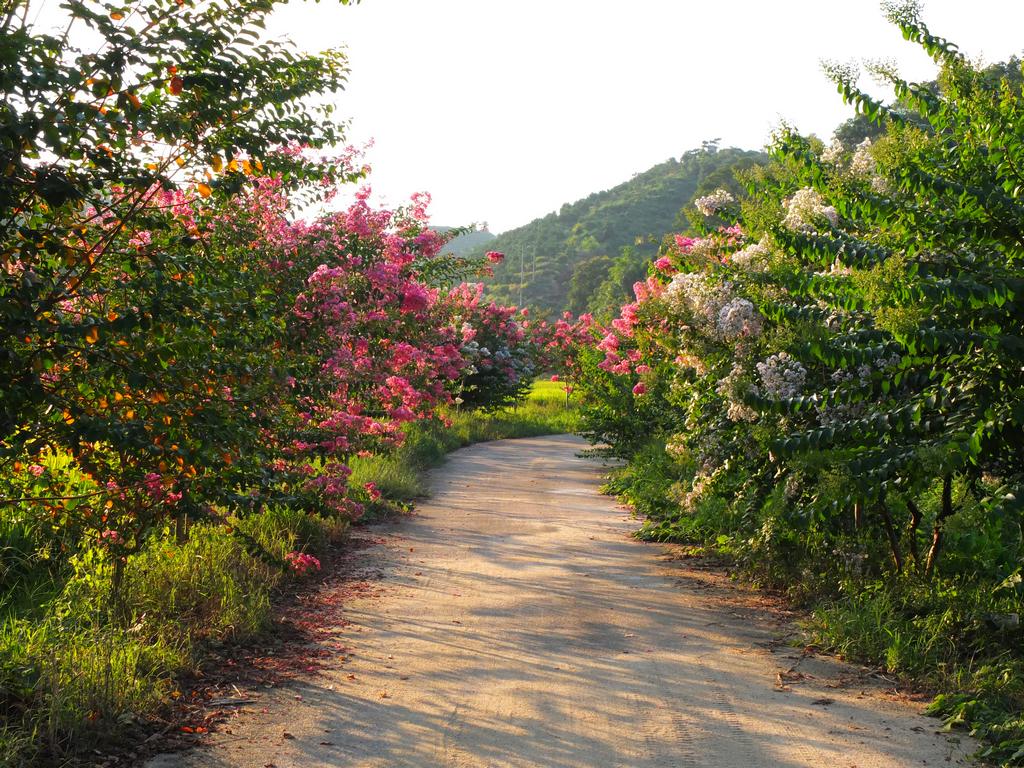 重庆农家乐和休闲农庄推荐可垂钓,重庆钓鱼烧烤采摘一体的农家乐