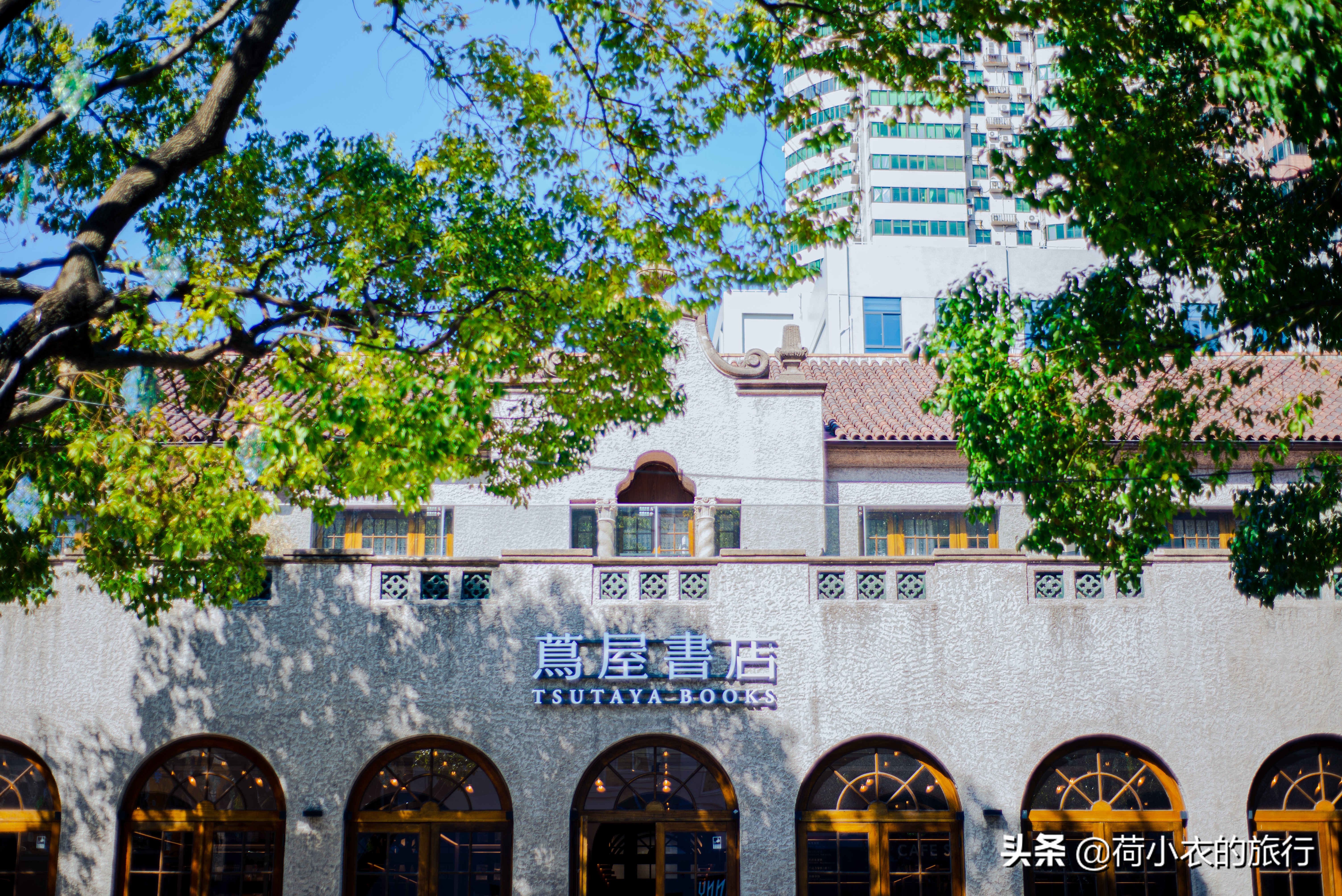 上海三个网红打卡地是哪里,上海网红地标打卡图片