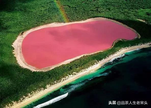 最新世界十大“怪”，最后一个太绝了！