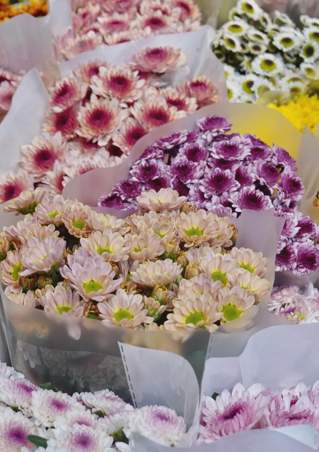 乌鲁木齐花市在哪里光明路附近,乌鲁木齐的花市在哪里