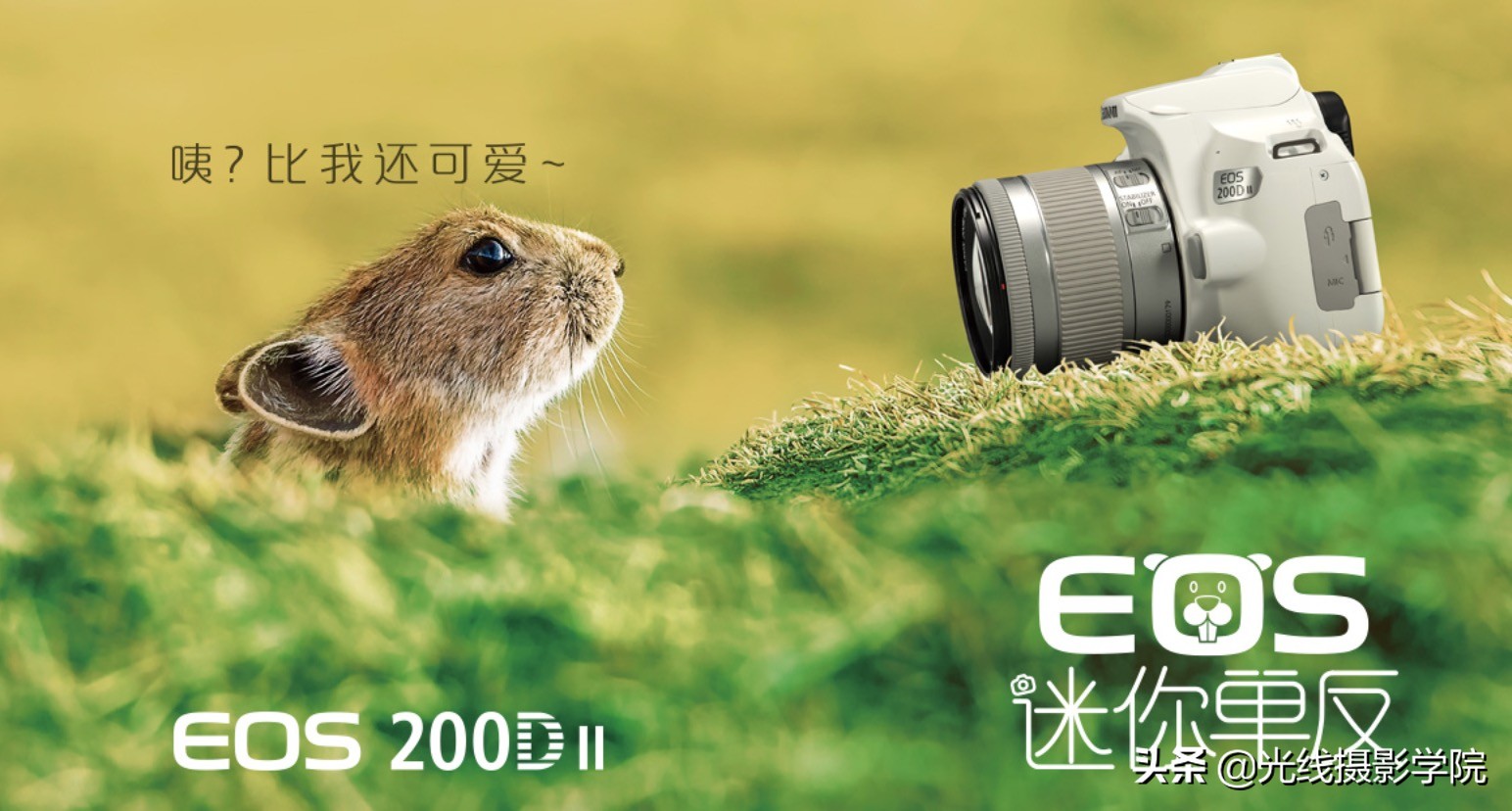 佳能m200拍vlog,佳能m200拍短视频好吗
