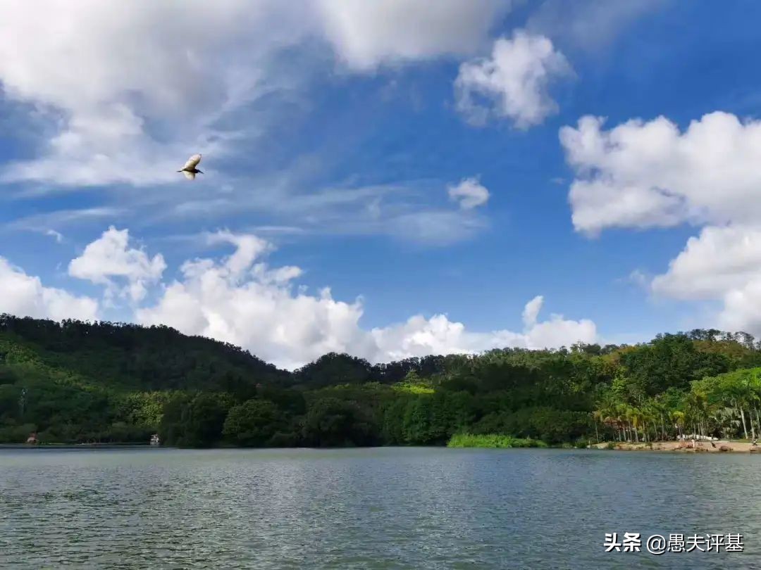 基金经理李进为何离开宝盈,深度分析宝盈基金李进