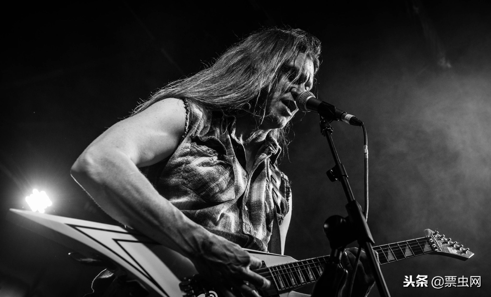 沼泽之王全集,沼泽之王kalmah