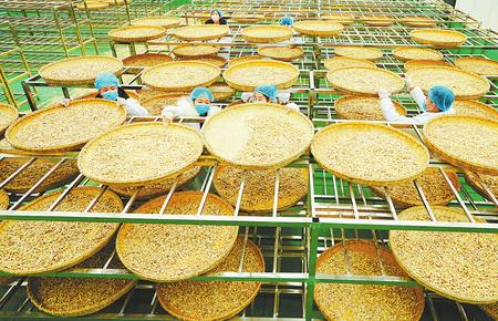 脱贫攻坚书写乡村振兴新画卷,关于脱贫攻坚决战决胜之年的文章