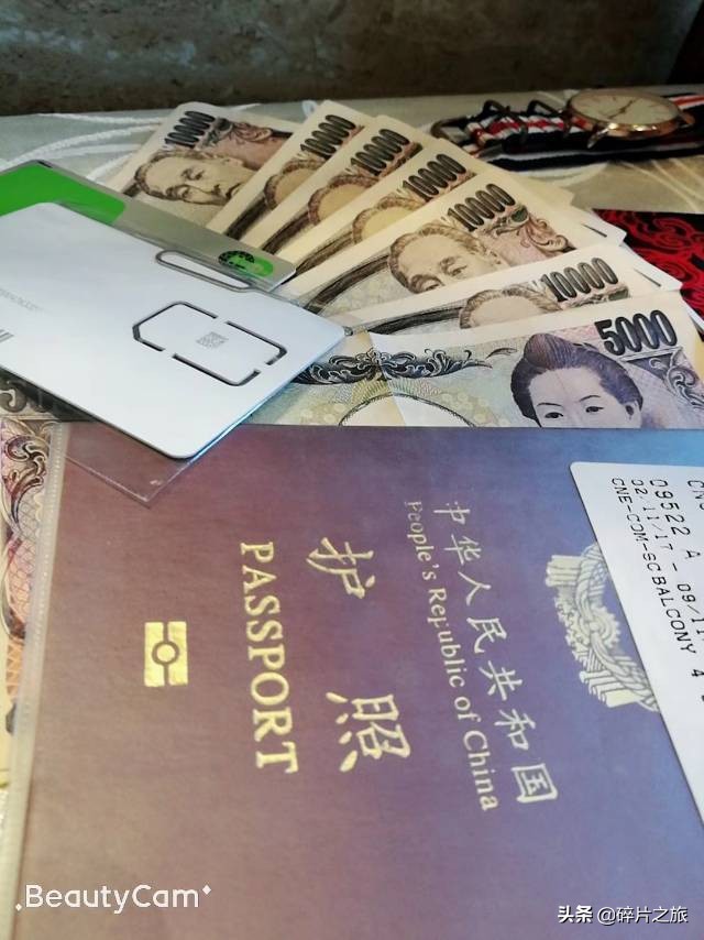 豪华游轮日本游旅游攻略,特价日本豪华游轮旅游攻略