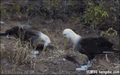 今天3月10，我的妈呀！谁编的，太好笑了，给群里乐一乐