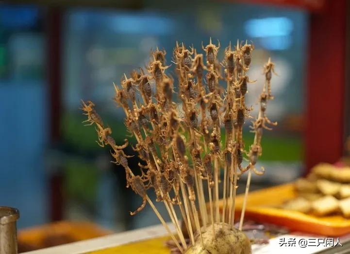 自然养蝎子300个平方能养多少蝎子,想养蝎子不知道蝎子好养还是难养