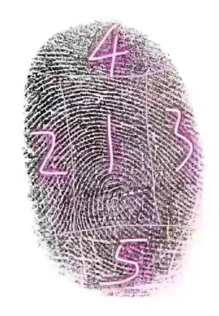 小米指纹锁解锁了打不开,小米指纹锁冷凝水如何解决