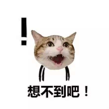 中国十大杀猪盘,2019杀猪盘上榜