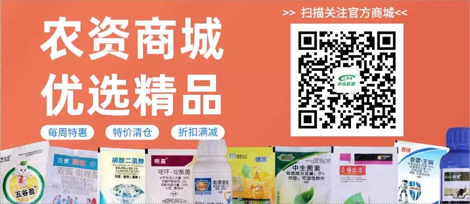 桃蚜虫难治用啥特效药,花椒蚜虫难治治不下去怎么办