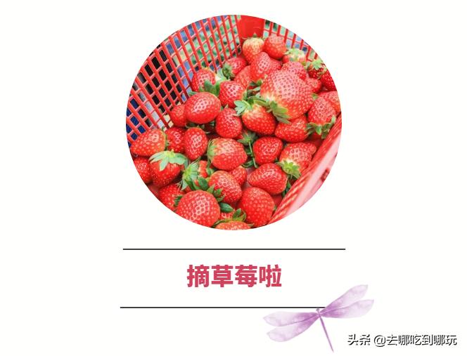 58抢花都志惠农场+玻璃桥套票惊险横跨268米更有环球飞车项目