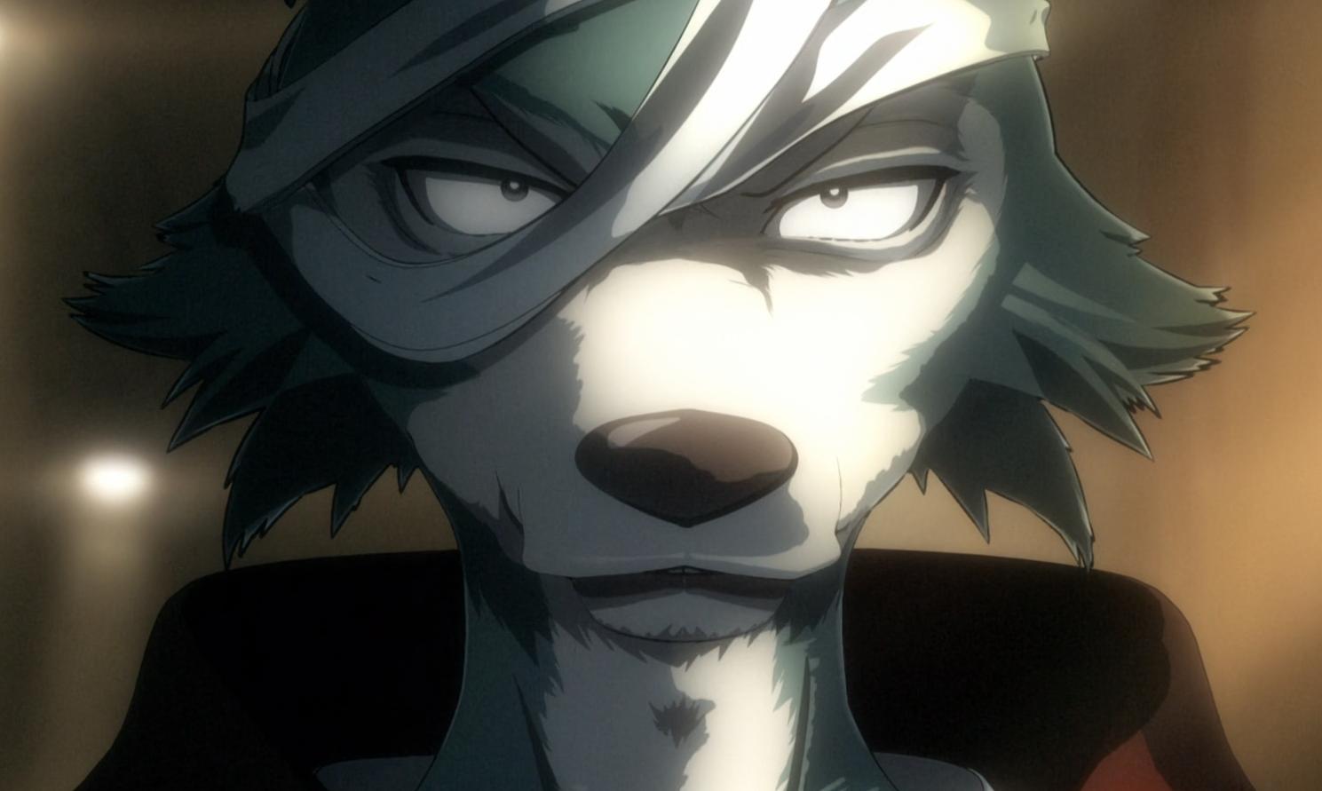 2017全年新番一览表,盘点2019年值得一看的优秀新番