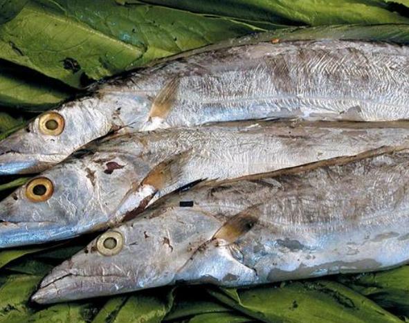 带鱼肉的颜色黑黄哪种好,黑眼带鱼和黄眼带鱼有什么区别