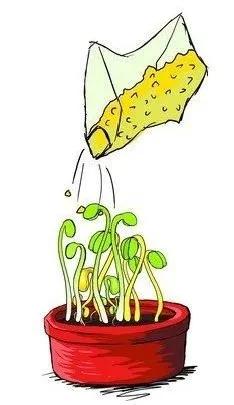 2013年毒豆芽食品安全事件,毒豆芽案件建议明确法律适用