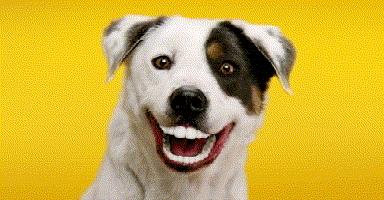 烫头发型搞笑图片大全,烫头卡通搞笑图片