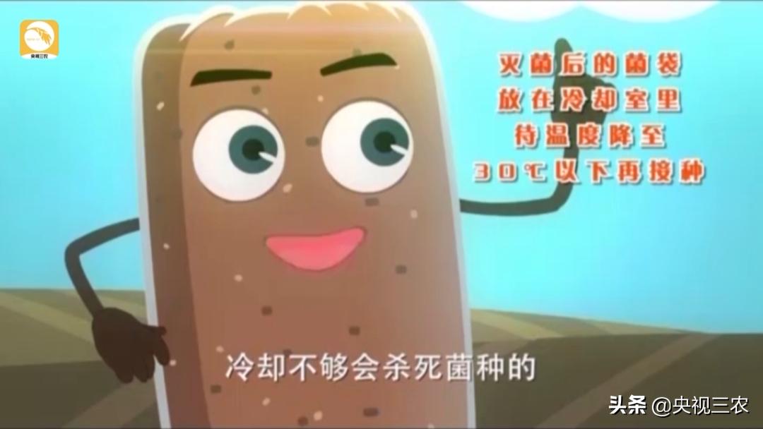 木耳一年利润多少钱,木耳赚钱案例