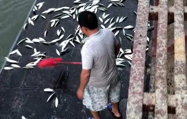 巨浪来袭海水倒灌甲板,甲板上海水倒灌