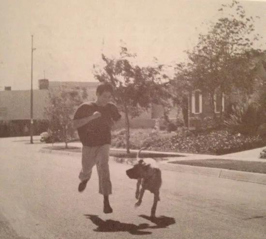 功夫之王李小龙,李小龙跑步高清4k视频