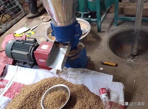 农村现在发财致富项目有哪几种,在农村创业致富的好项目