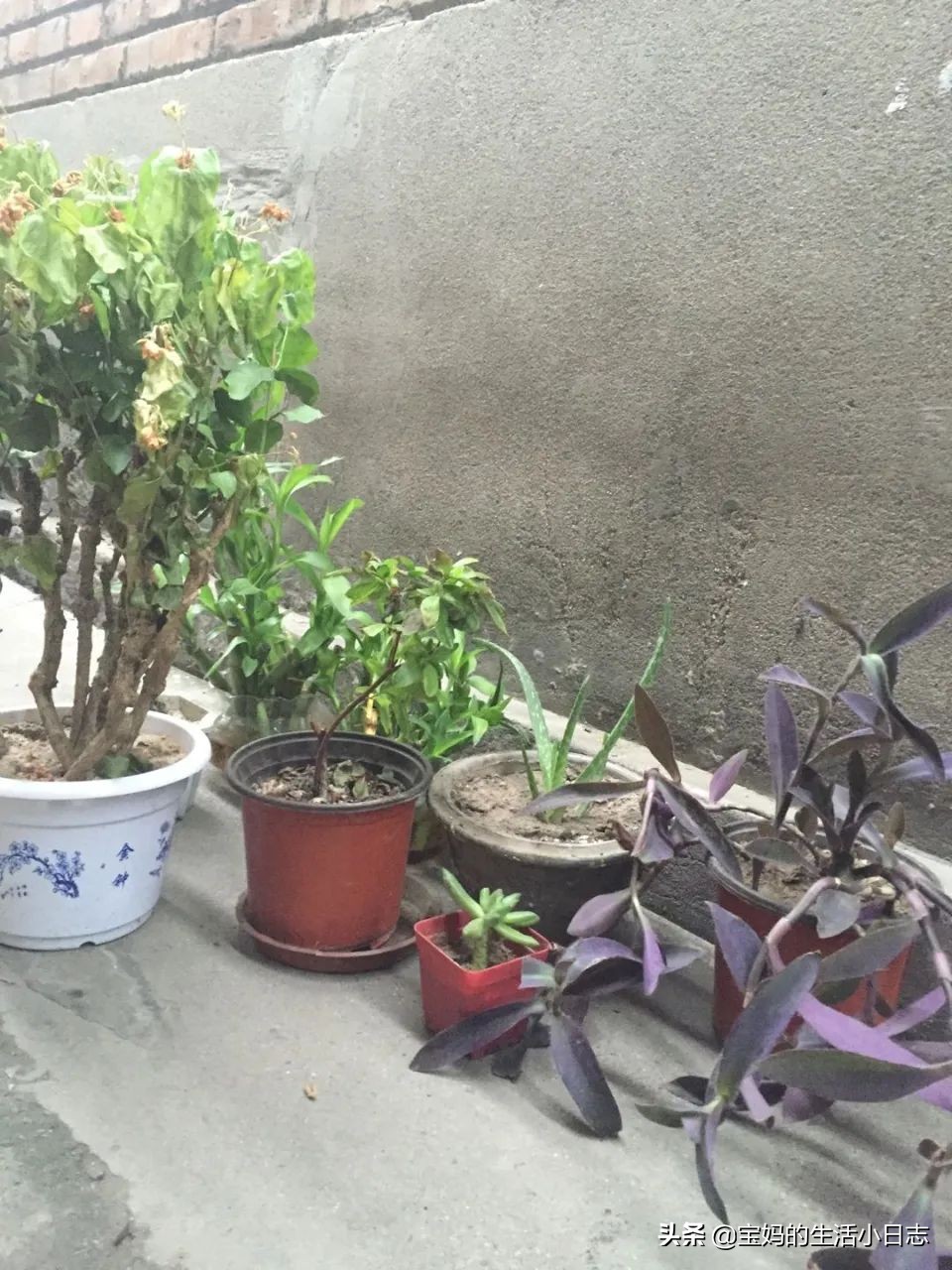 初到北京租房攻略,在北京租房3个月攻略