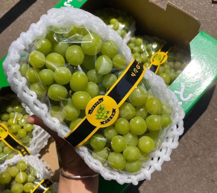 阳光玫瑰网红水果,阳光玫瑰水果视频