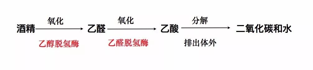 冀连梅抗生素,冀连梅药师靠谱吗