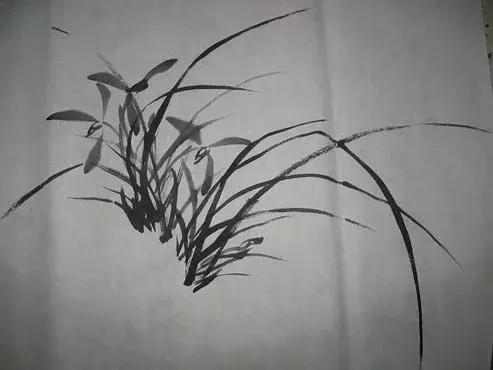 国画兰花条屏画法想学吗,石头与兰花的国画画法