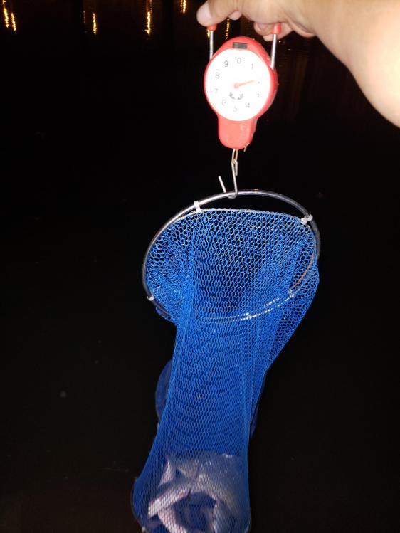 金迦潘钓杆,金迦潘求败渔具好用吗