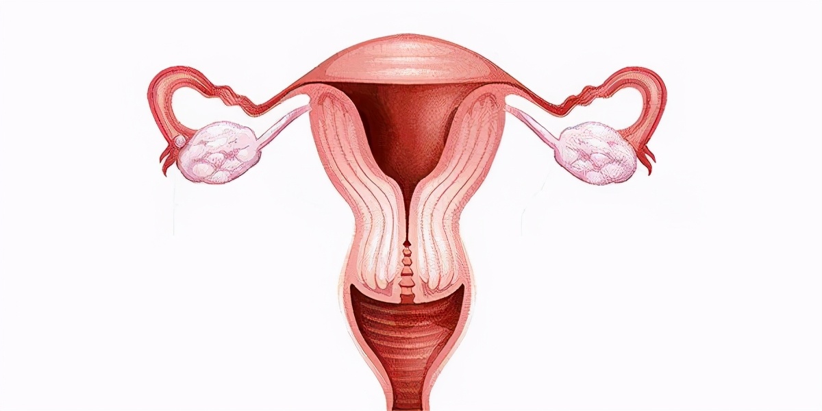 啪啪不戴套，27岁姑娘子宫“一团乱麻”……还能好好生娃吗？