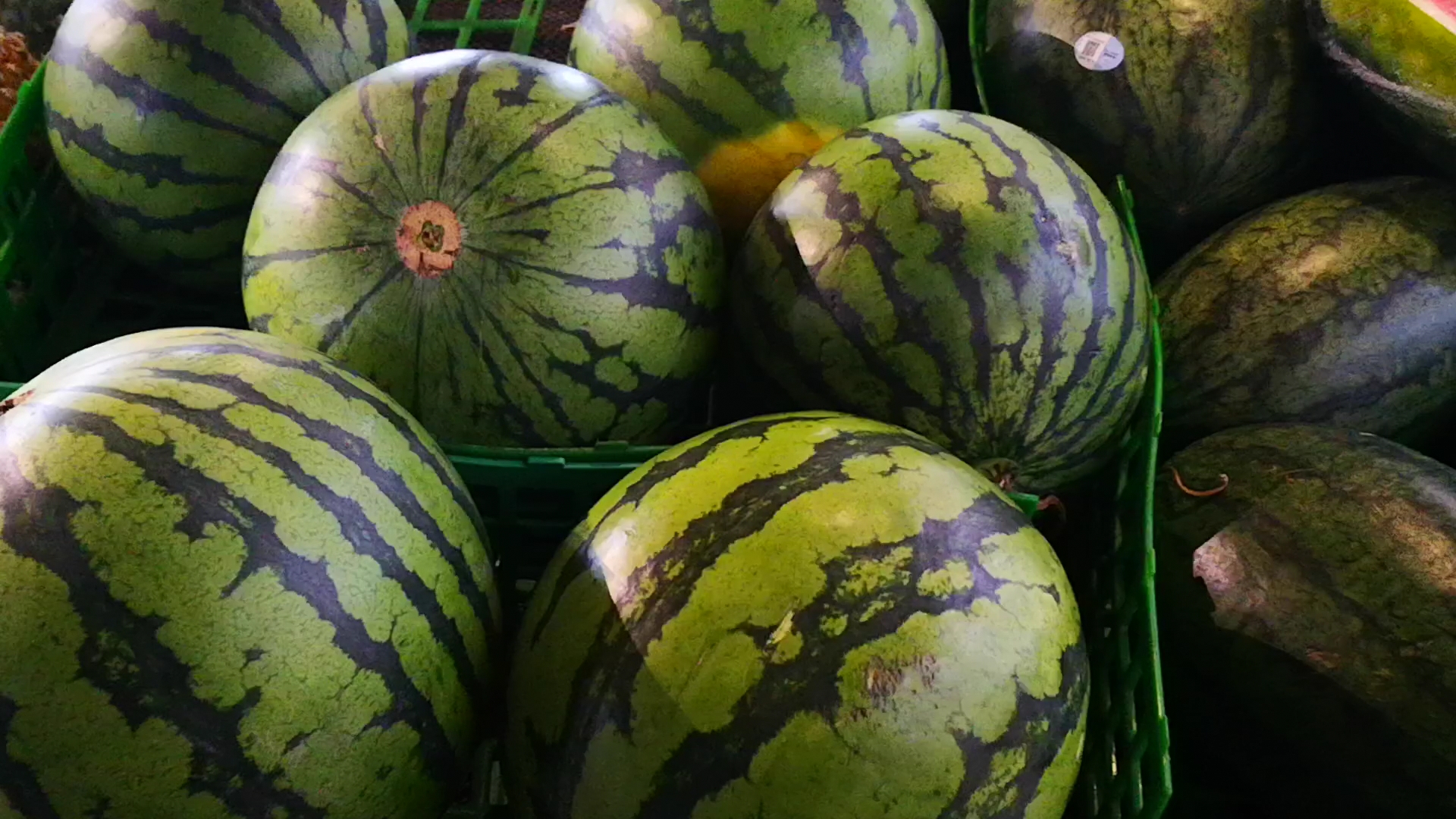 买西瓜最重要的点,买西瓜一定要先问价格