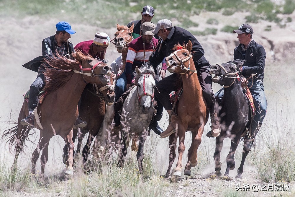 铁血雄鹰全剧,铁血雄鹰全文阅读