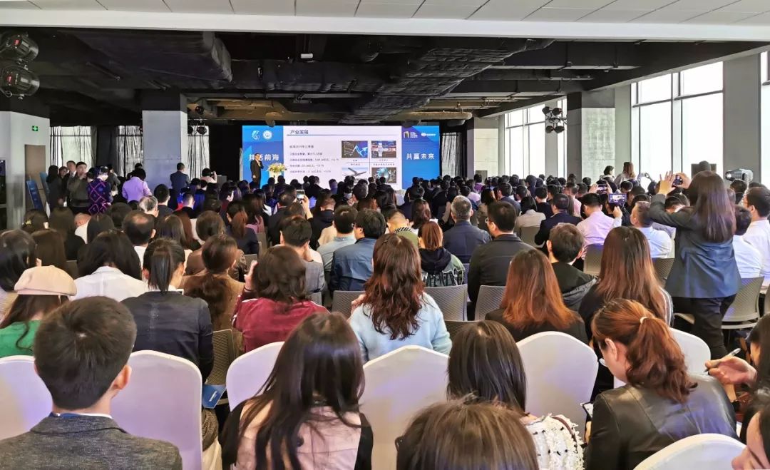 前海梧桐,前海梧桐最新消息