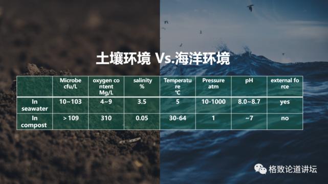 这个诞生不过百年的材料，却让发明者自杀“谢罪”